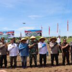 WhatsApp Image 2024-11-20 at 13.37.35