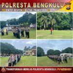 WhatsApp Image 2024-11-24 at 13.05.03