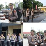 WhatsApp Image 2024-11-25 at 13.34.18