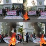 WhatsApp Image 2024-11-26 at 10.48.19