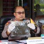 WhatsApp Image 2024-11-26 at 13.51.15