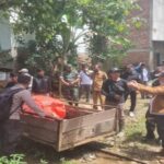 WhatsApp Image 2024-11-27 at 14.03.36