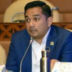 WhatsApp Image 2024-11-29 at 10.12.48