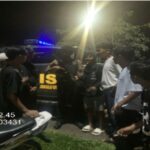 WhatsApp Image 2024-12-01 at 11.44.11