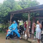 WhatsApp Image 2024-12-02 at 15.12.55