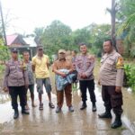 WhatsApp Image 2024-12-02 at 15.14.02