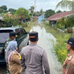 WhatsApp Image 2024-12-03 at 14.03.11