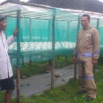 WhatsApp Image 2024-12-03 at 16.51.26