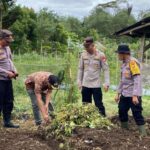 WhatsApp-Image-2024-12-05-at-13.01.57-750x375