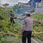 WhatsApp Image 2024-12-06 at 11.16.40