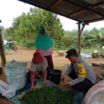 WhatsApp Image 2024-12-09 at 23.58.15