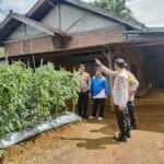 WhatsApp Image 2024-12-11 at 07.41.51