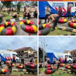 WhatsApp Image 2024-12-12 at 15.37.11