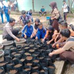 WhatsApp Image 2024-12-13 at 07.14.08