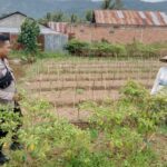 WhatsApp Image 2024-12-13 at 07.27.34