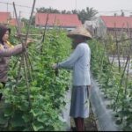 WhatsApp Image 2024-12-28 at 10.49.06