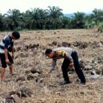 WhatsApp Image 2025-01-10 at 10.45.24