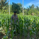 WhatsApp Image 2025-01-11 at 11.22.39