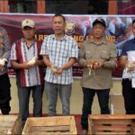 WhatsApp Image 2025-01-15 at 15.04.53