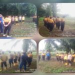 WhatsApp Image 2025-01-20 at 13.33.09