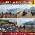 WhatsApp Image 2025-01-26 at 13.08.47