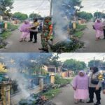 WhatsApp Image 2025-02-07 at 11.31.46