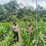 WhatsApp Image 2025-02-10 at 13.41.55