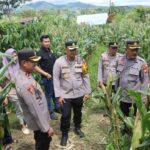 WhatsApp Image 2025-02-10 at 19.24.17