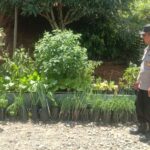 WhatsApp Image 2025-02-11 at 14.12.52 (1)