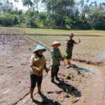 WhatsApp Image 2025-02-12 at 18.35.54