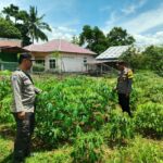 WhatsApp Image 2025-02-13 at 10.24.07