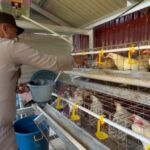 WhatsApp Image 2025-02-14 at 13.26.52