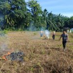 WhatsApp Image 2025-02-17 at 12.06.36