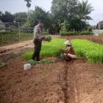 WhatsApp Image 2025-02-18 at 13.03.19