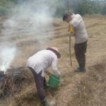 WhatsApp Image 2025-02-26 at 08.11.16