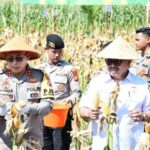 WhatsApp Image 2025-02-26 at 13.39.07