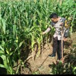 c539d318-3add-43fa-916b-ca4c0f00ea02