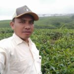 80e220b5-c562-445b-81e4-a2511a04ce25