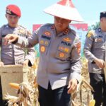 291bb0ee-b26b-4f88-9d63-ac9c19972811