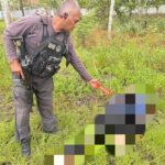 41982b83-3bc9-4731-92f4-a8e216315677