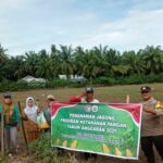 b2b75ed8-c253-4c18-8351-d03a963dfe08