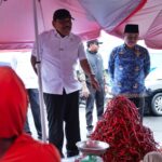 0cd1d3a3-4db2-4efd-aa1b-0e5af083485a