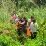 1d3ad772-31b7-4701-a560-b1f194ff6573