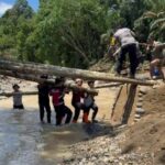 bc6f5264-884a-49e2-9560-d9492071e82c