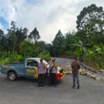 eadbe78a-75cd-4e5c-8295-a88c83a410db