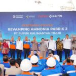 2fc6b0f7-4dd0-4bc9-94c4-3d829d09cc96_11zon (1)