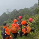 5d0c8244-3d0c-455a-8d2d-e7bc8d98a777_11zon