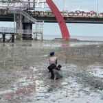 629c9cd5-7362-42dd-af18-8a228e9b6f26