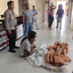 94035b81-4524-4a5b-b08d-8df6b93f8884_11zon