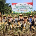 e393bd7f-b9e9-4452-99be-dd0d22cd00ee_11zon